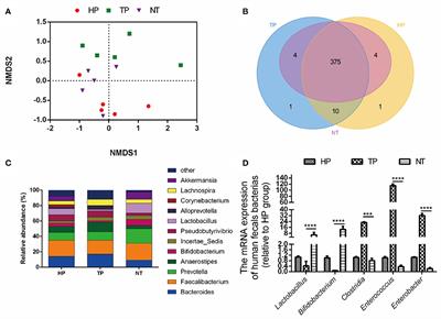 A Phase II Randomized Clinical Trial and Mechanistic Studies Using Improved Probiotics to Prevent Oral Mucositis Induced by Concurrent Radiotherapy and Chemotherapy in Nasopharyngeal Carcinoma